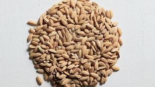 Soin Fondamental