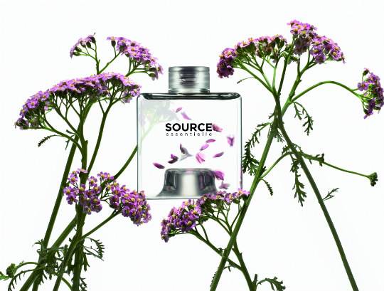 El champú botánico y ecológico que está revolucionando la rutina de cuidado capilar