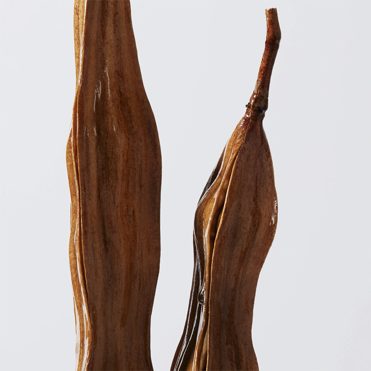 Acondicionador para pelo seco Urban Miusture 